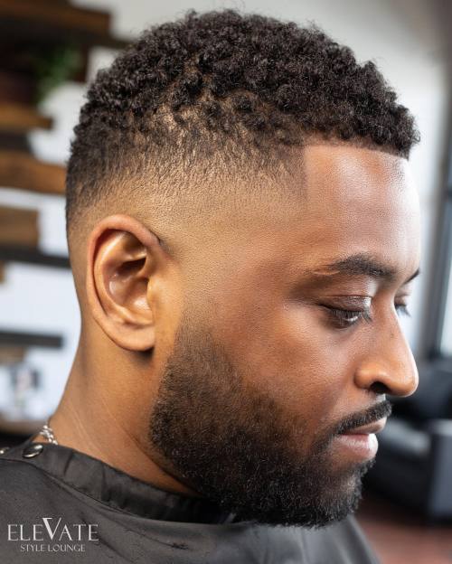 Black Curly High Fade with Line Up