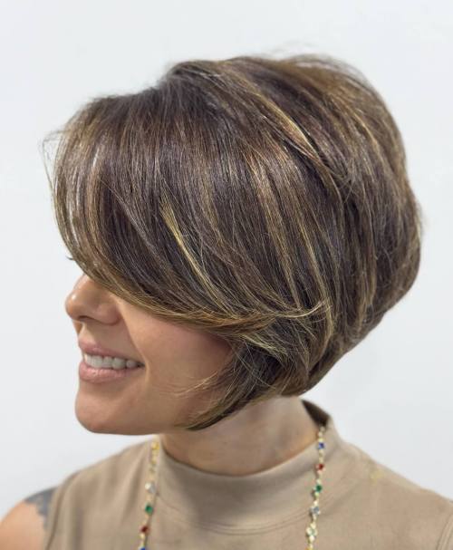 Brown Pixie Bob with Golden Highlights