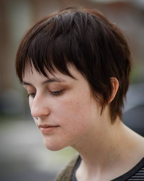 Jaggy Pixie with Longer Back