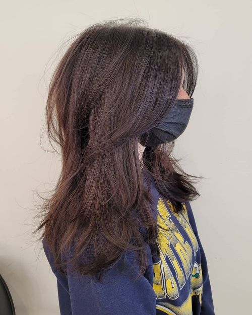 Chestnut Hairstyle With Feathery Layers