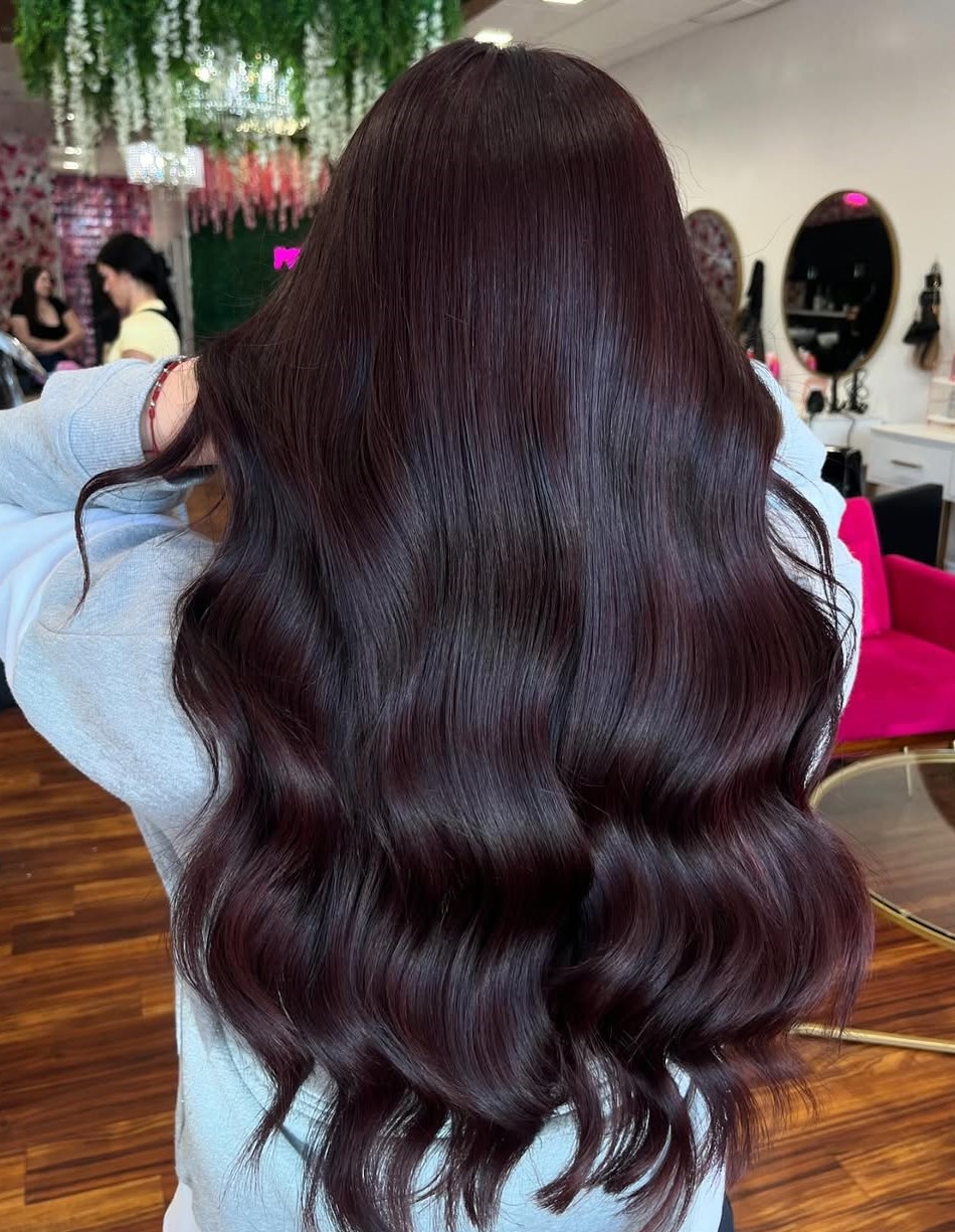 Ebony and Burgundy Balayage for Fall