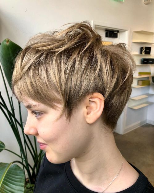 Soft Choppy Pixie for Fine Pixie