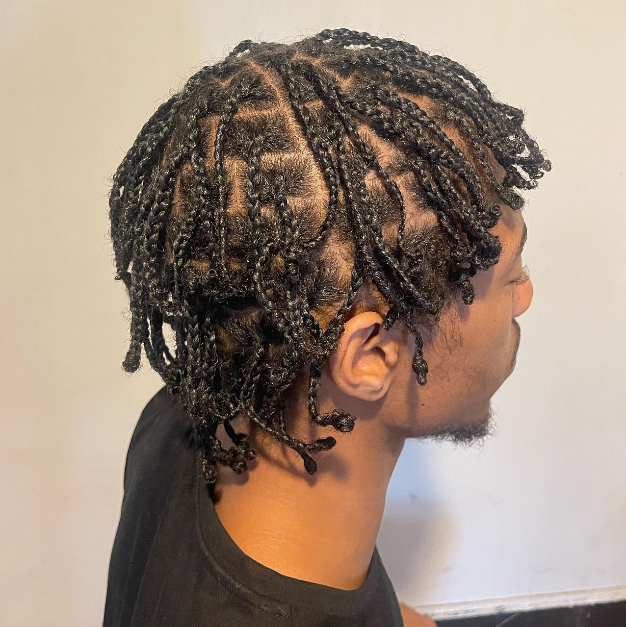 Short Mini Braids for Men