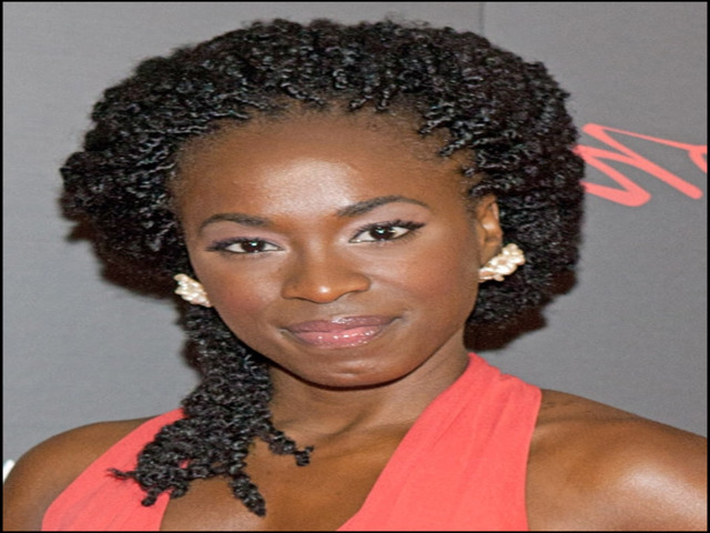 black-hairstyles-braids-and-twists-1 10 Pictures Of Black Hairstyles Braids And Twists