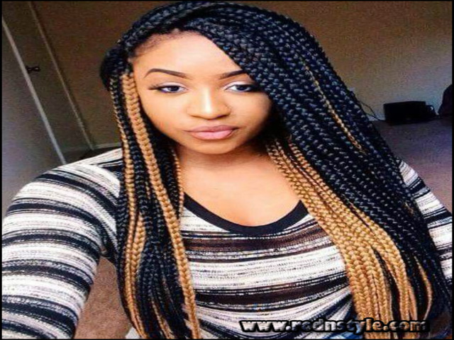 Hairstyles With Braids For Black People 4