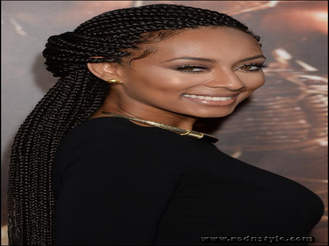 Hairstyles With Braids For Black People 9