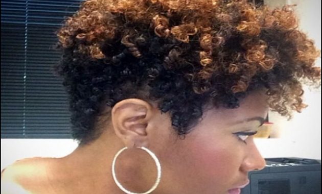 short-tapered-natural-black-hairstyles-12-630x380 10 Gallery Of Short Tapered Natural Black Hairstyles