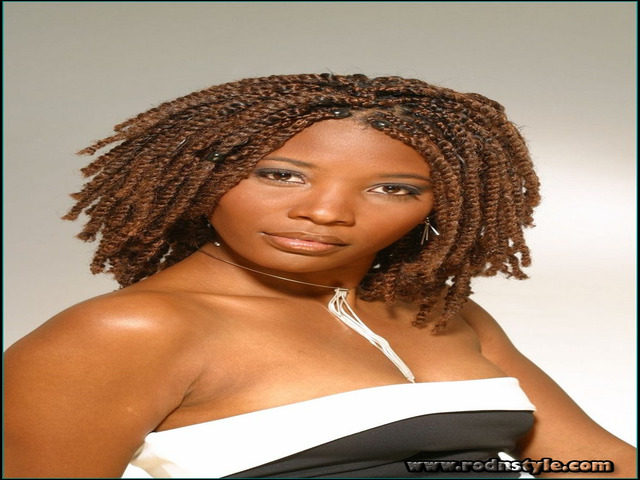Braided Hairstyles For African American Hair 1