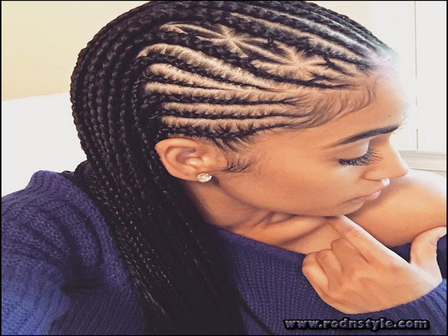 Braids Hairstyles For Adults 4