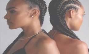 Cornrows Braids Hairstyles Pictures 4